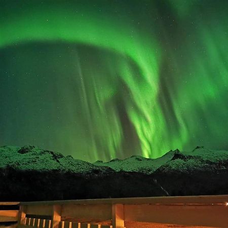 Unique And Charming House At The Foot Of Lofoten'S Highest Mountain Svolvaer Luaran gambar