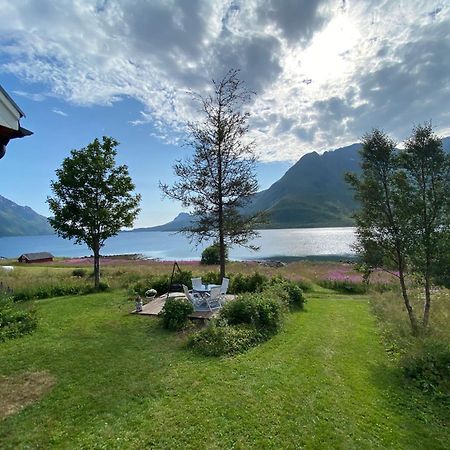 Unique And Charming House At The Foot Of Lofoten'S Highest Mountain Svolvaer Luaran gambar
