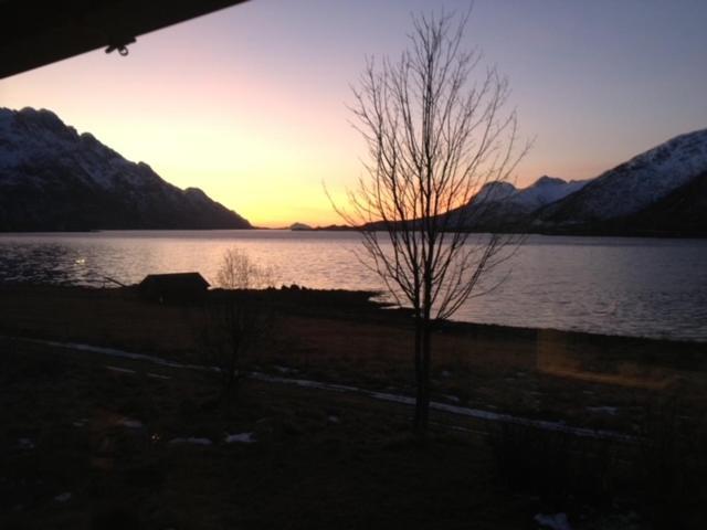 Unique And Charming House At The Foot Of Lofoten'S Highest Mountain Svolvaer Luaran gambar