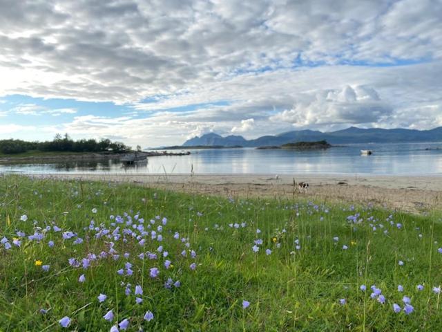 Unique And Charming House At The Foot Of Lofoten'S Highest Mountain Svolvaer Luaran gambar