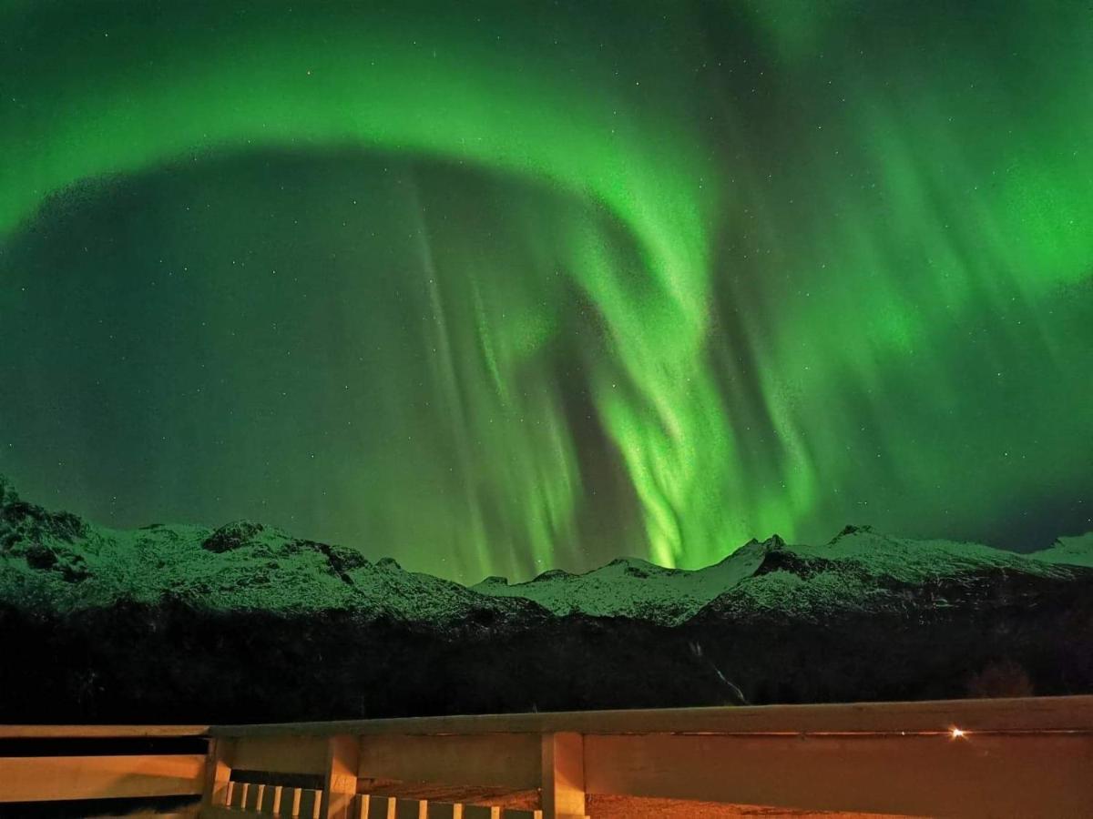 Unique And Charming House At The Foot Of Lofoten'S Highest Mountain Svolvaer Luaran gambar