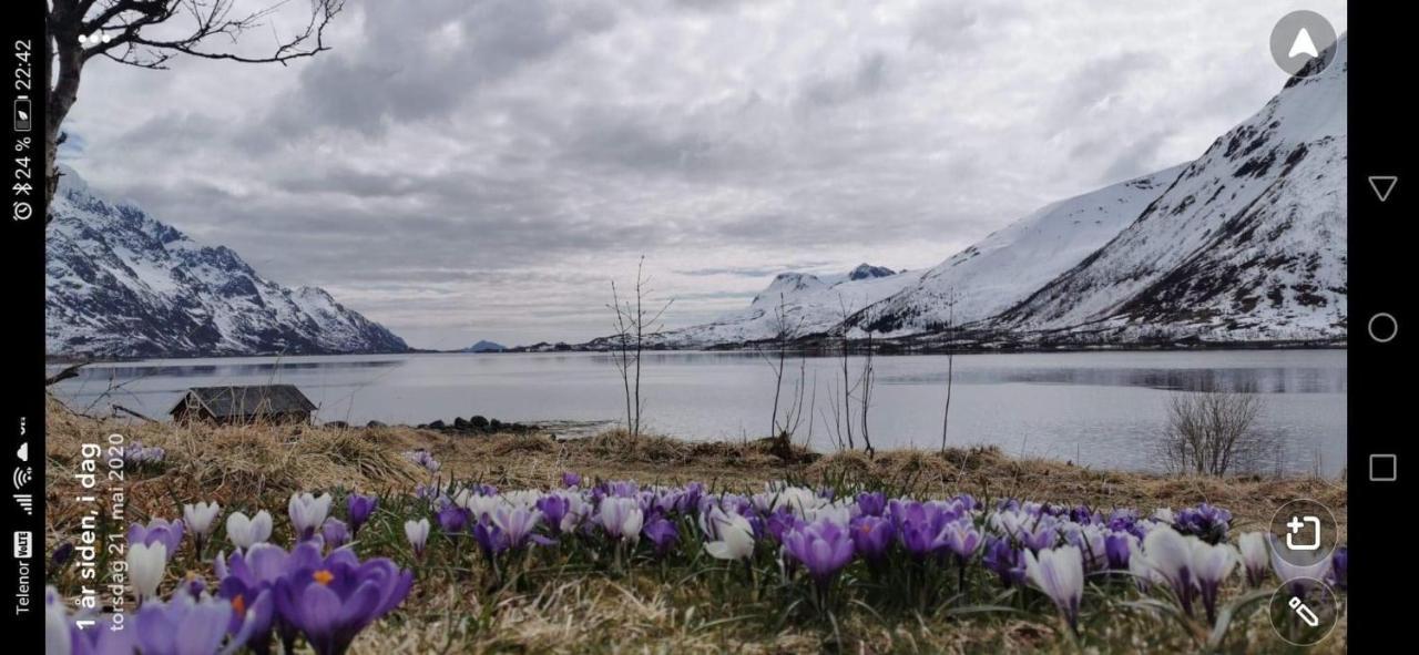 Unique And Charming House At The Foot Of Lofoten'S Highest Mountain Svolvaer Luaran gambar